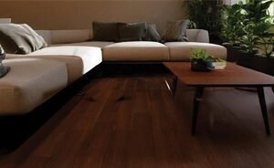 Caspian Oak